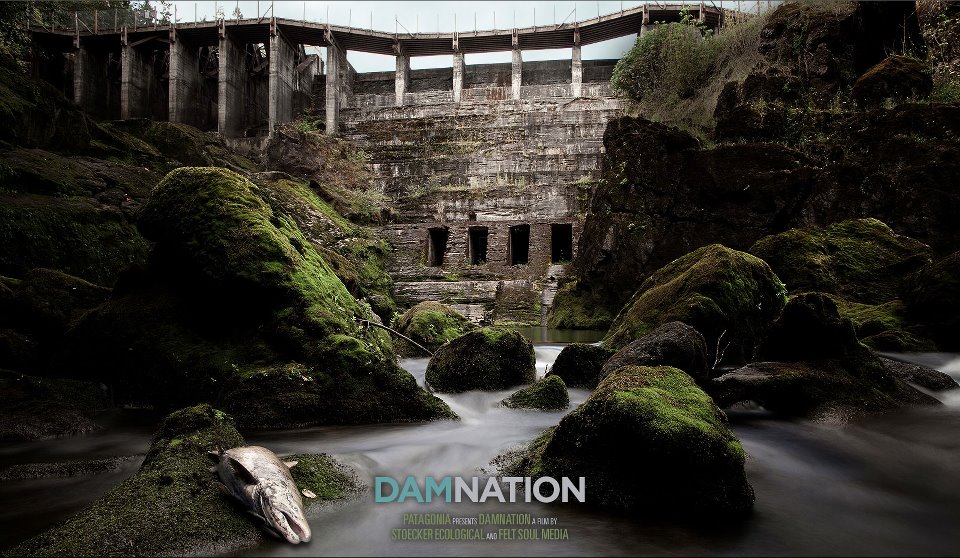 DamNation film, Elwha Dam, Washington