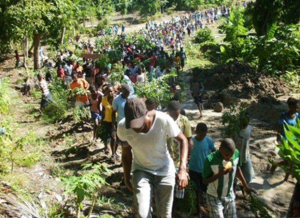 Ile a Vache, Haiti, mega tourism land grab
