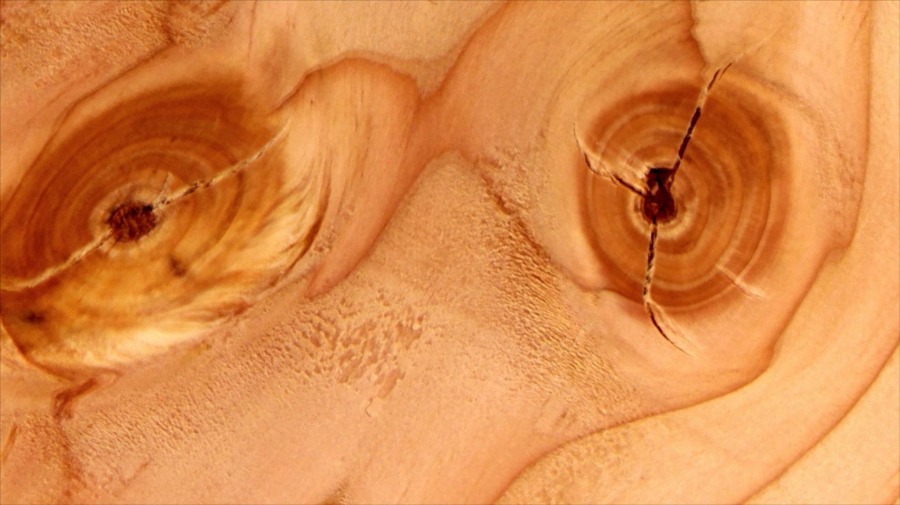 video art, Keith Skretch