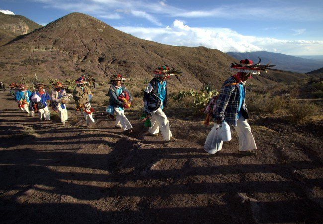Wirikuta, Peyote, Huichol People, Mexico