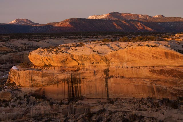 White Canyon, Natural Bridges National Monument - Tar Sands