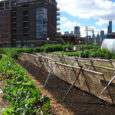 State and local governments must take bold, yet simple measures to correct the current major obstacle preventing real growth in urban farming — a viable distribution system.