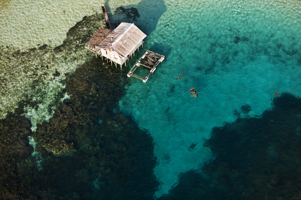 "Planet Ocean" explores whether it is possible for Earth’s dominant inhabitants to change the way we view our oceans? 71% of the planet is made up of water and it is a vital life force for every creature that lives here.