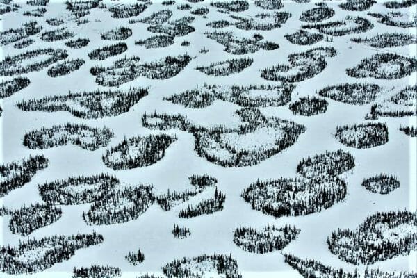 tar sands, oilsands, Alex MacLean, boreal forest, Alberta