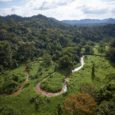 In search for legendary “City of the Monkey God,” explorers ignore indigenous residents and archaeologists who have worked in the region for years, and shamefully claim to find the "untouched ruins" of a "vanished" culture found in the remote Moskitia region eastern Honduras.