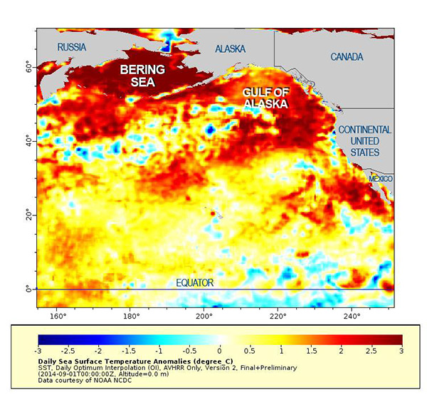 North Pacific Ocean, warming ocean currents, climate change