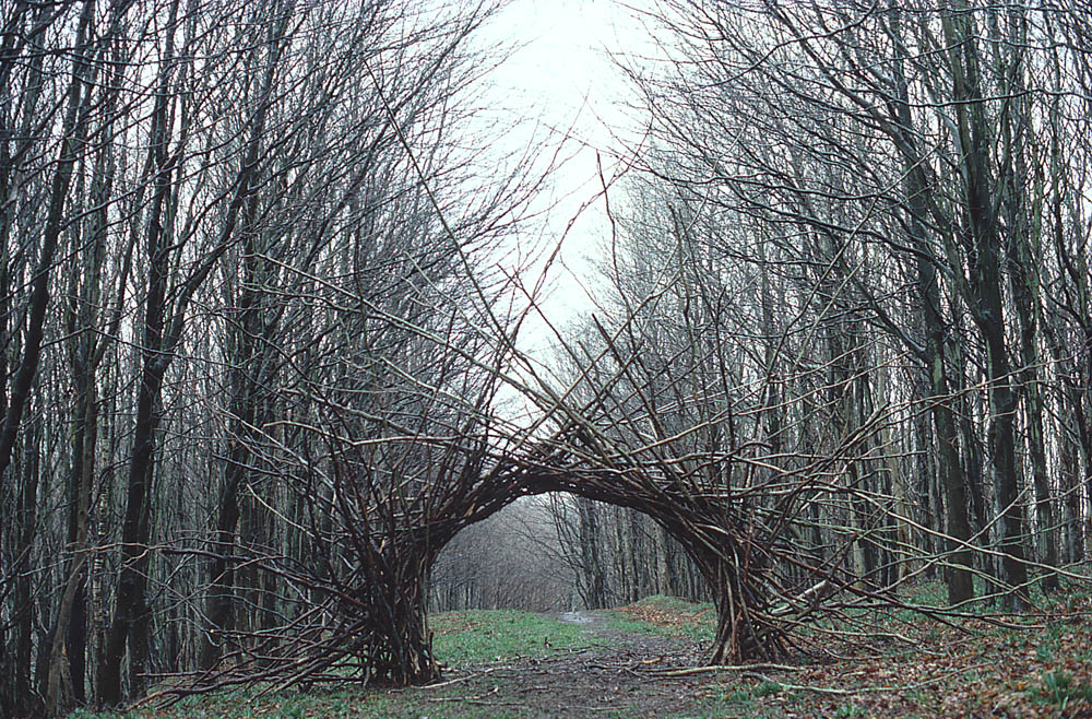 Andy Goldsworthy, environmental art, Geo-Fauvism