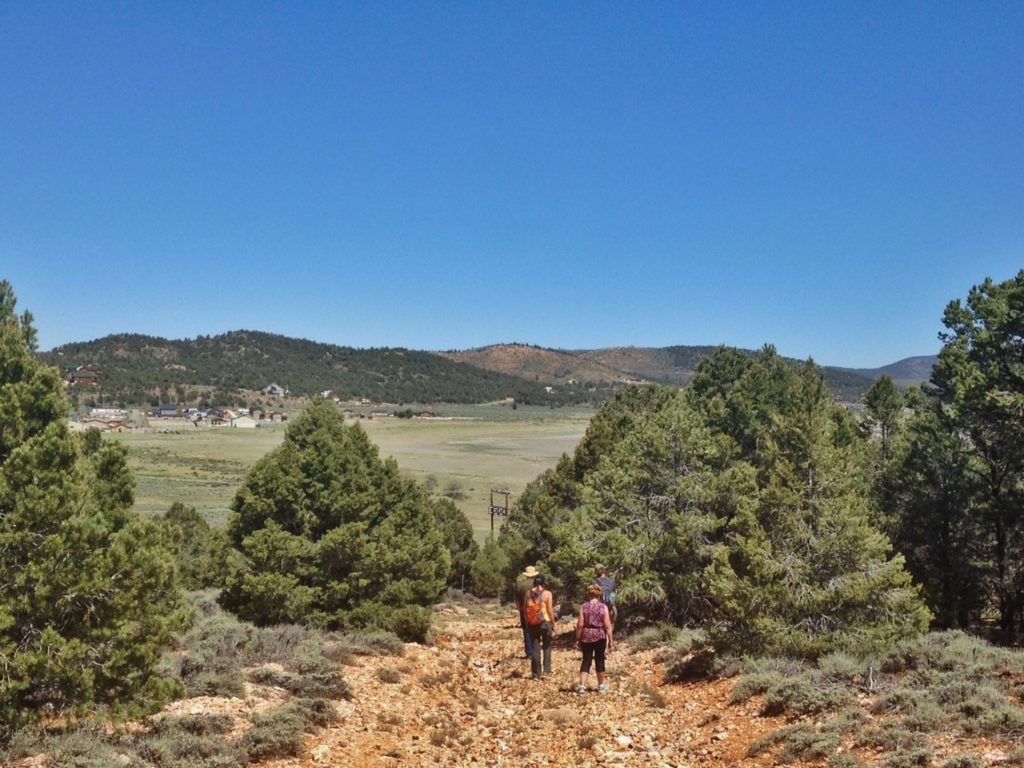 pebble plain, Big Bear