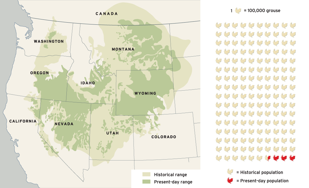 endangered species, Greater Sage-Grouse 