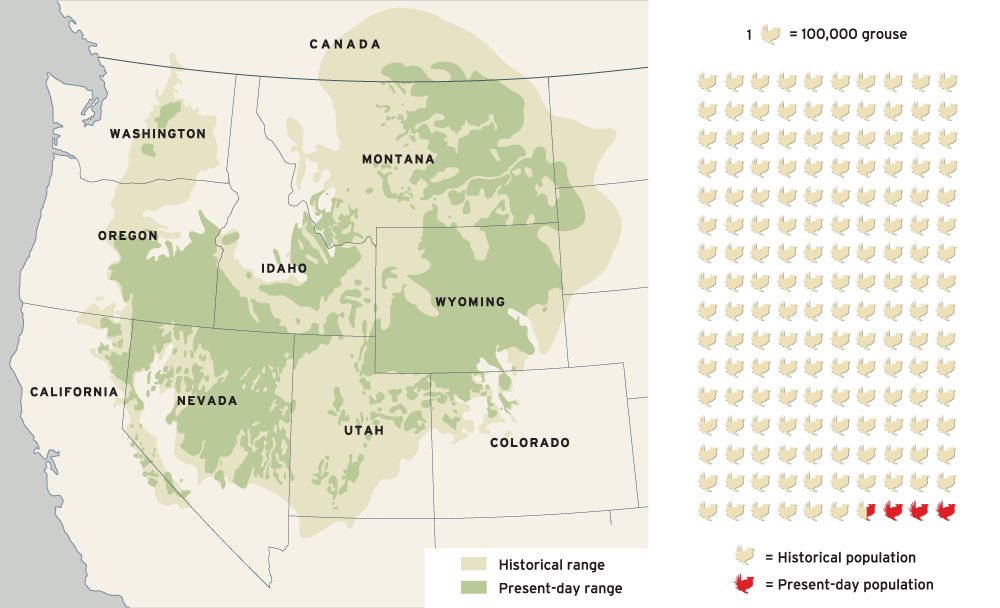 endangered species, Greater Sage-Grouse