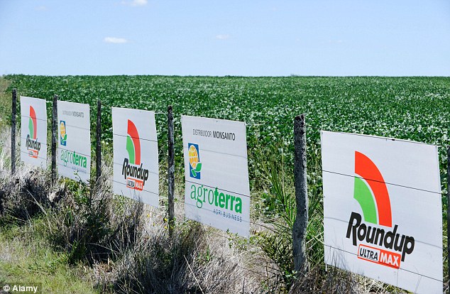 Roundup, glyphosate, gmo agriculture, monsanto