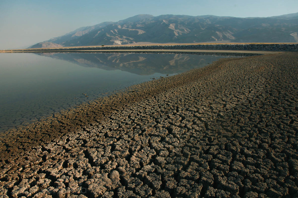 Walking Water, Jasmine Amara, drought