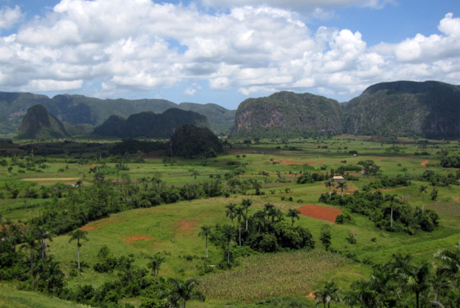 Cuba, Accidental Eden, biodiversity