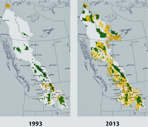 Yellowstone to Yukon, conservation