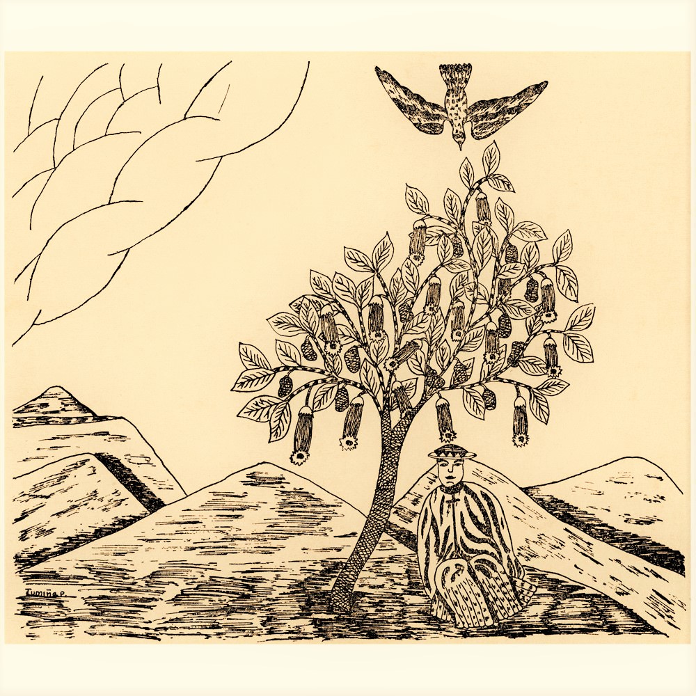 Richard Evans Schultes, Albert Hofmann, The Bricoleur