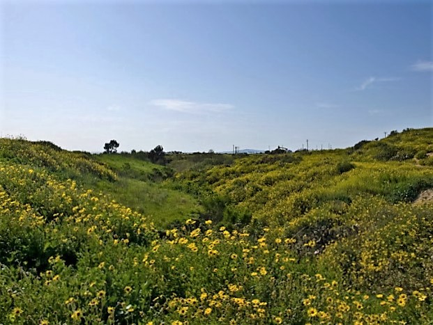 Newport Banning Ranch, archaeological resources,Genga,Tongva