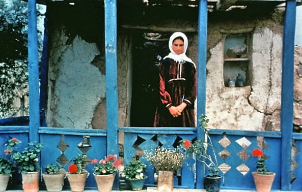 Abbas Kiarostami, Iran, Through the Olive Trees