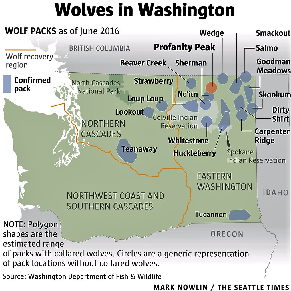 killing wolves in Washington