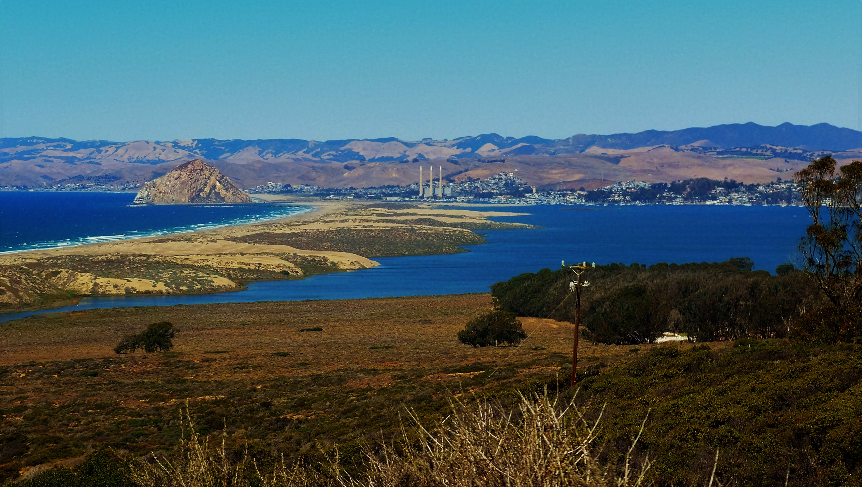 Morro Bay Ecological reserve, Morro Bay Dune Greenbelt, Jack Eidt