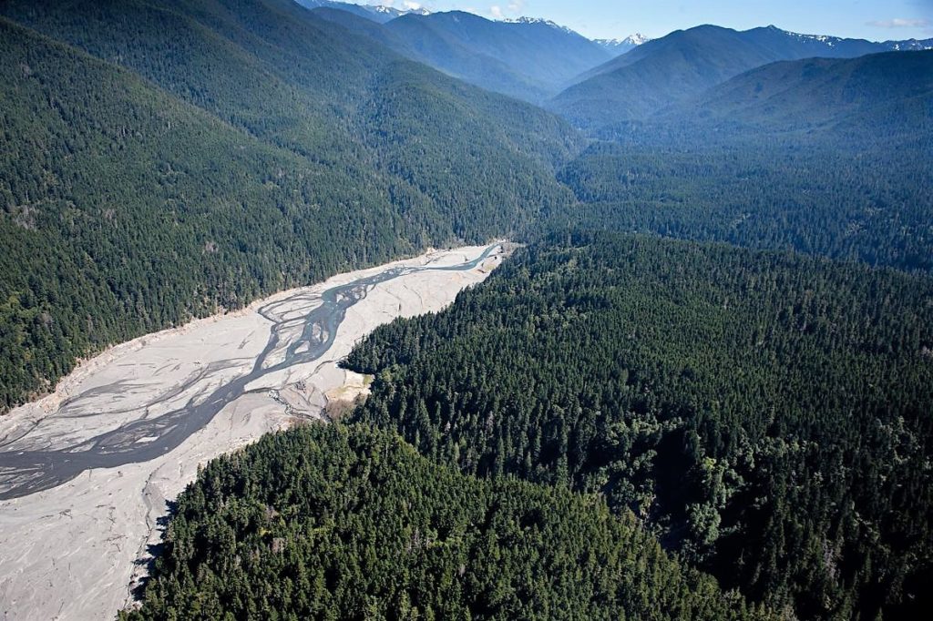 Elwha River, dam removal