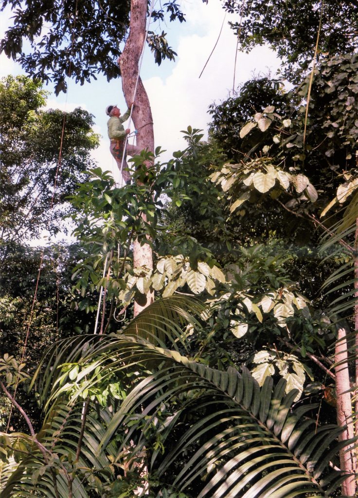 Scott A. Mori, tropical botany