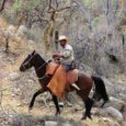 The film 'Corazón Vaquero: The Heart of the Cowboy', documents the rural "Californios," raising livestock in the way of their Spanish ancestors in the Southern Baja California mountains. Facing tourism development, road building, and cultural changes, the isolated ranchos still persist with their self-sustaining subsistence-based way of life.