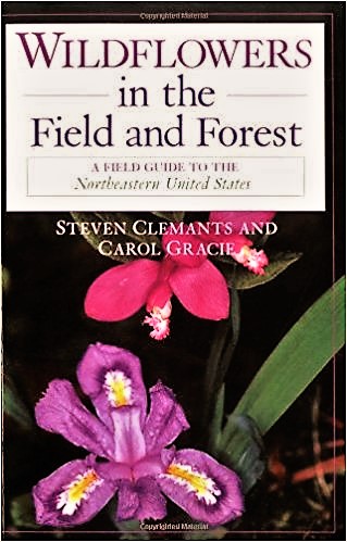 Wildflowers in a field guide