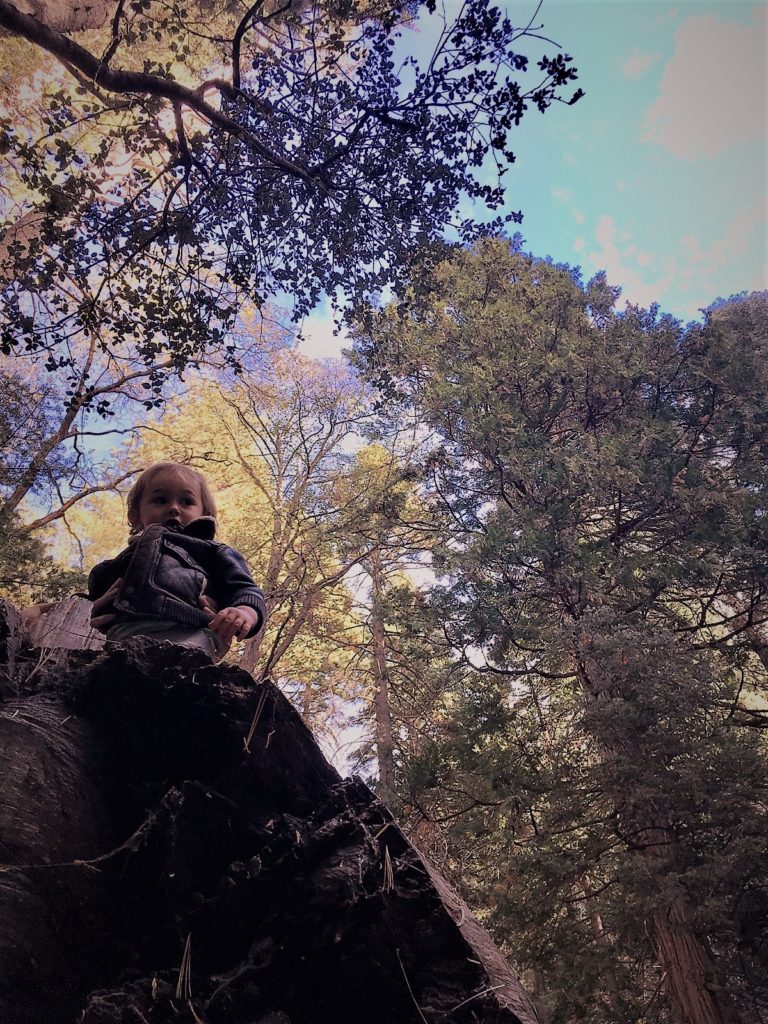 Jack Eidt, Idyllwild