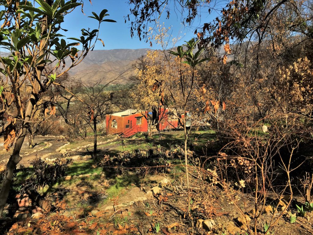 The Ojai Foundation, Thomas Fire, climate chaos