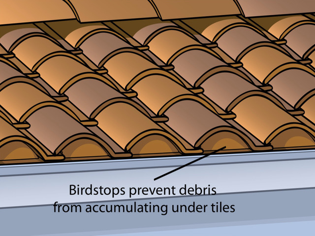 bird stops, roof design