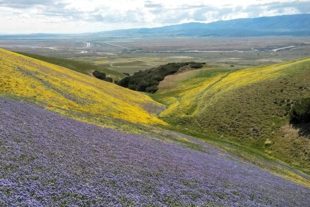 Tejon Ranch by Nick Jensen