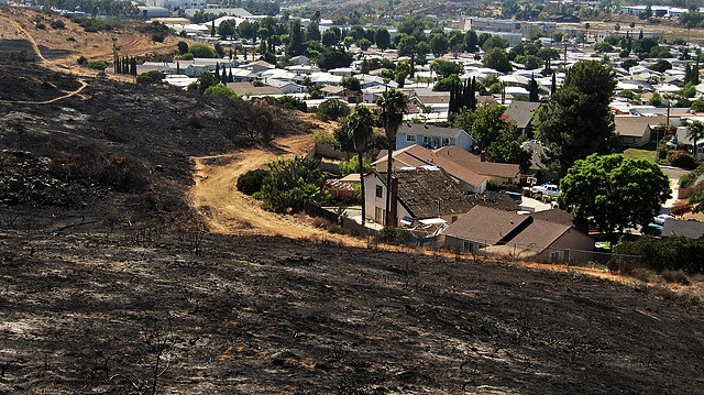 Urban Wildland Interface