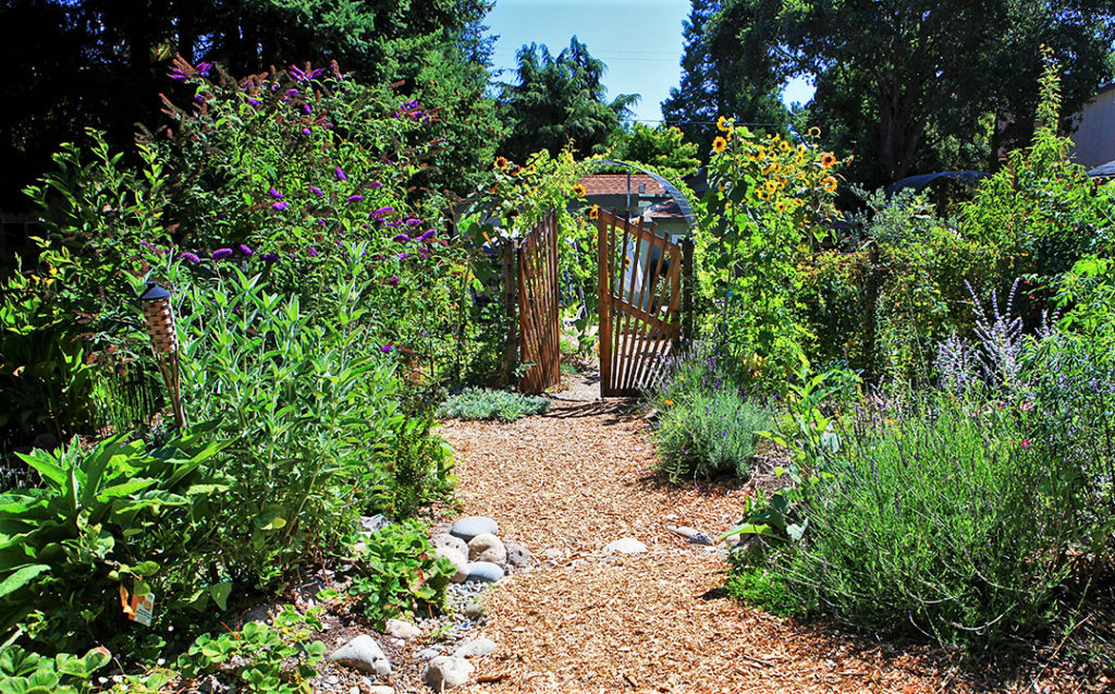 permacvulture, ecological garden