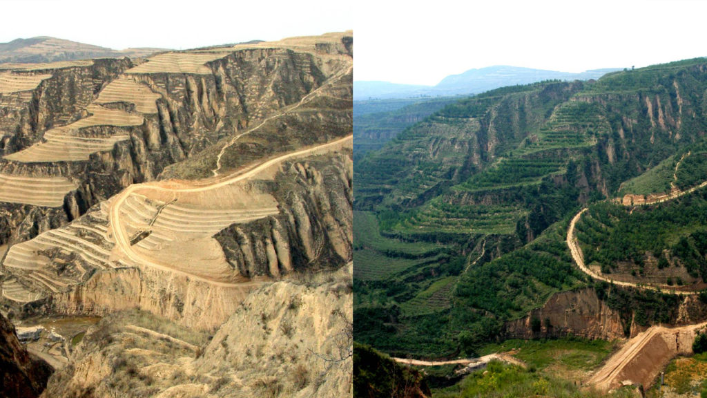 Loess Plateau, sustainable agriculture, permaculture