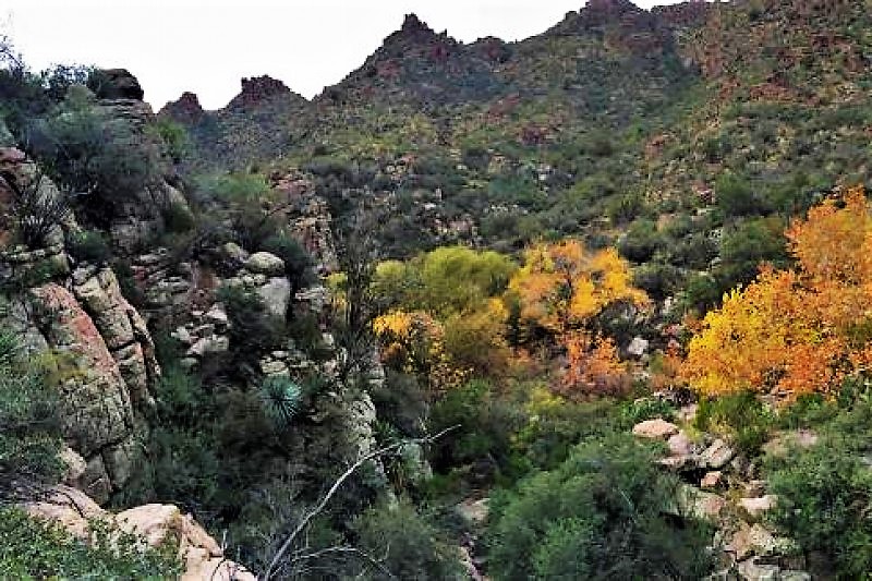 Save Oak Flat, Apache Stronghold