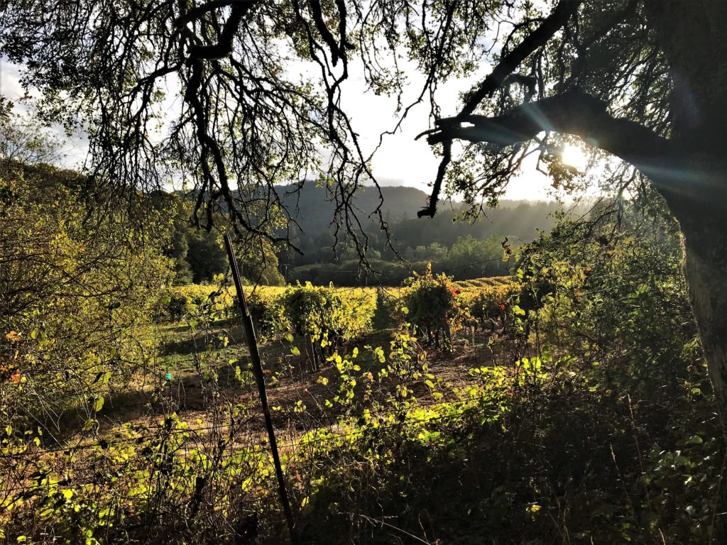 Jack London State Historic Park