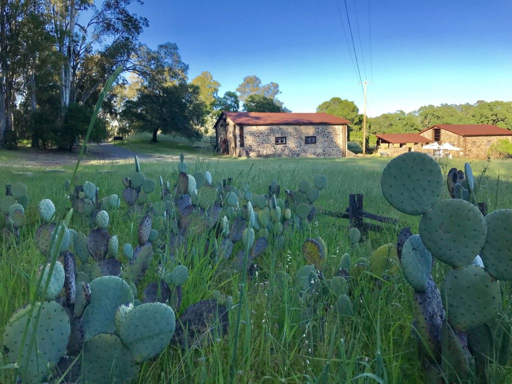 Beauty Ranch,sustainable farming, Jack London