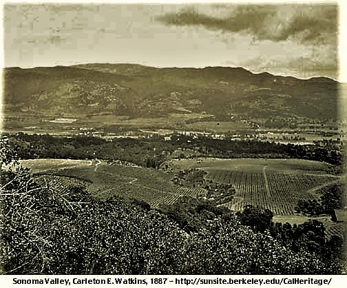 Sonoma Valley landscape