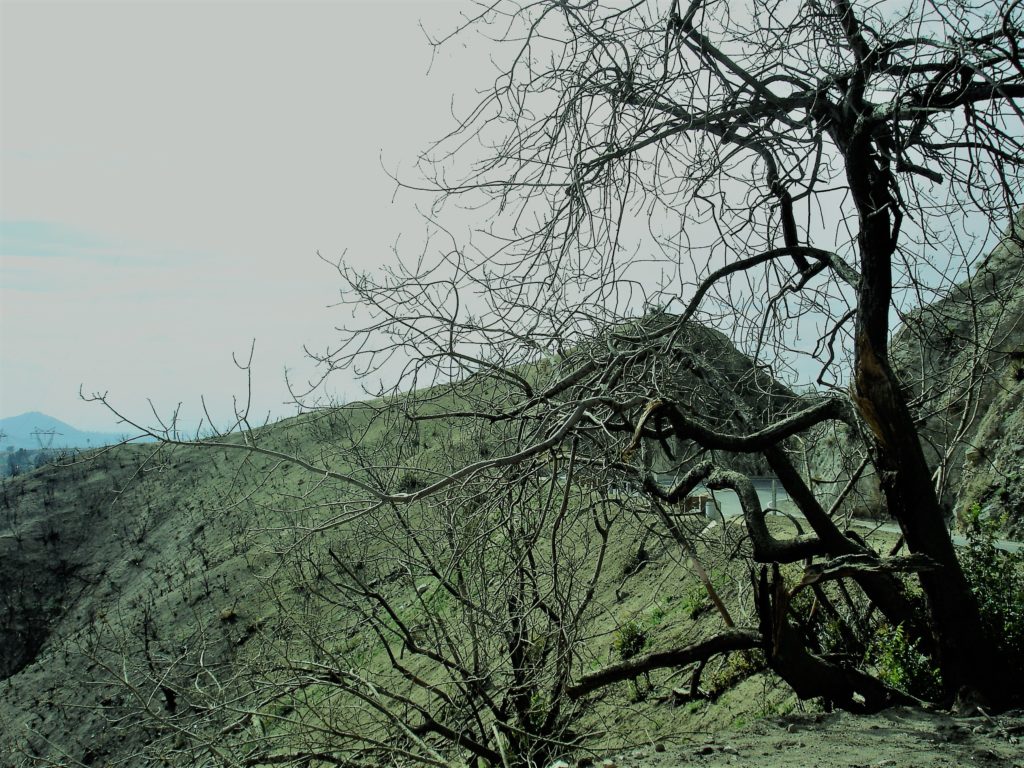 Station Fire, Angeles national Forest, Jack Eidt
