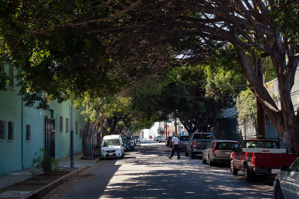East LA shade trees, urban canopy