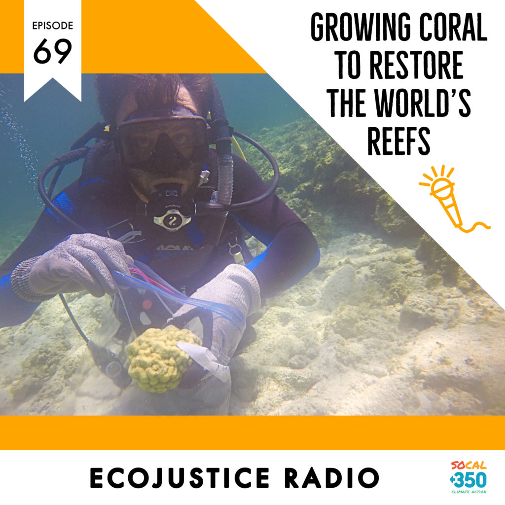 Regenerate Coral Reefs, EcoJustice Radio, Coral Vita