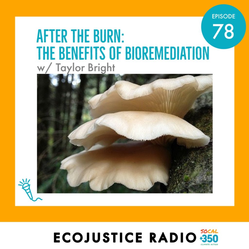 Bioremediation, EcoJustice Radio