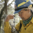 In this EcoJustice Radio episode we talk about cultural fire with Elizabeth Azzuz from the Cultural Fire Management Council, traditional Native methods of prescribed burning to protect forests and heal degraded ecosystems.