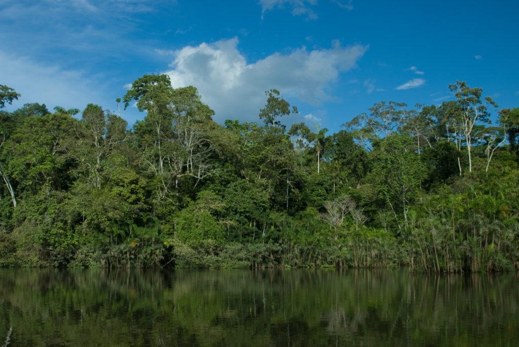 Yasuni National Park, Ecuador Bejat McCracken