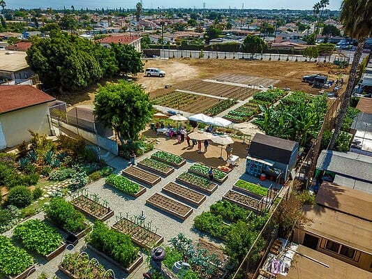 ALMA Backyard Farms