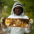 Urban bee farms of Detroit are not only rebuilding honey bee populations, they are also rebuilding the city and uplifting the community. EcoJustice Radio speaks with Detroit Hives on the work they are doing with bees and community.