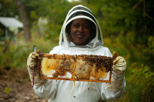Urban Beekeeping, Detroit Hives