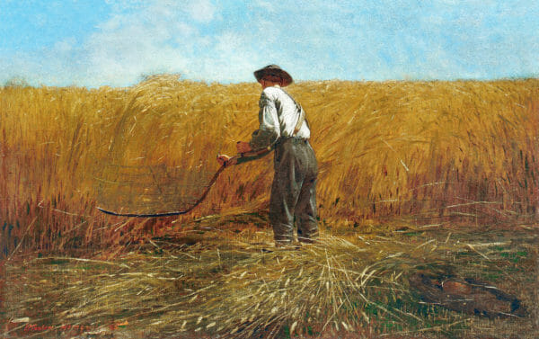 Winslow Homer - Veteran in a New Field